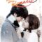 Khát Khao Hạnh Phúc – I Need Romance (2014) Full HD Thuyết Minh Tập 15